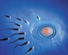 去惠州办三代试管婴儿总共需要多少钱？