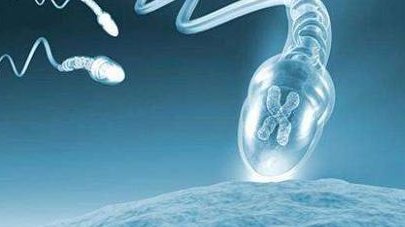 48岁自卵试管能成功吗？48岁高龄试管婴儿方案有哪些？