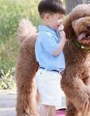 长沙4bc的囊胚是什么等级？有必要移植吗？