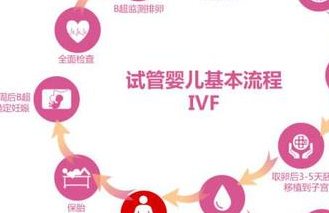2026年洛阳市妇幼保健院试管婴儿费用是多少？
