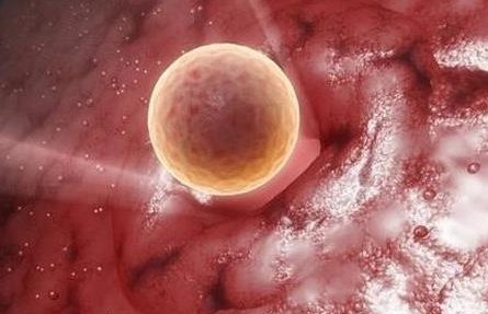 济宁地区有哪些私立的机构可以做试管技术？根据孕妇肚子上怀下怀可决定生孩子的说法靠谱吗？